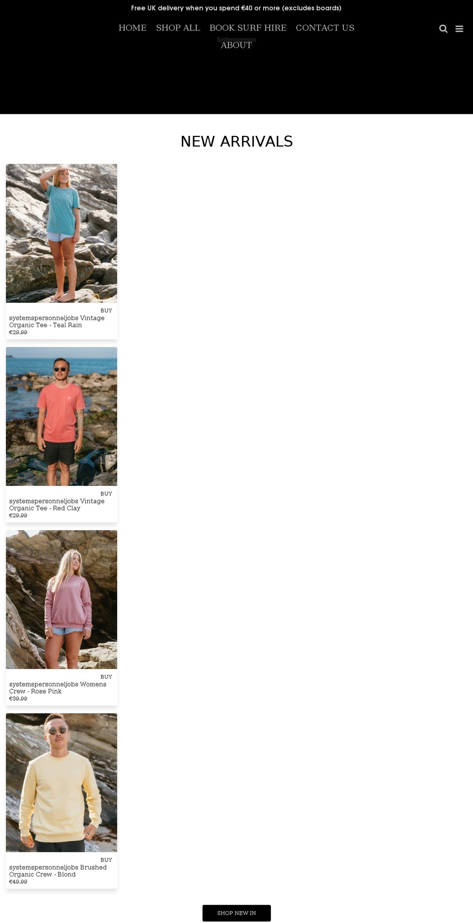 systemspersonneljobs.com shopify website screenshot