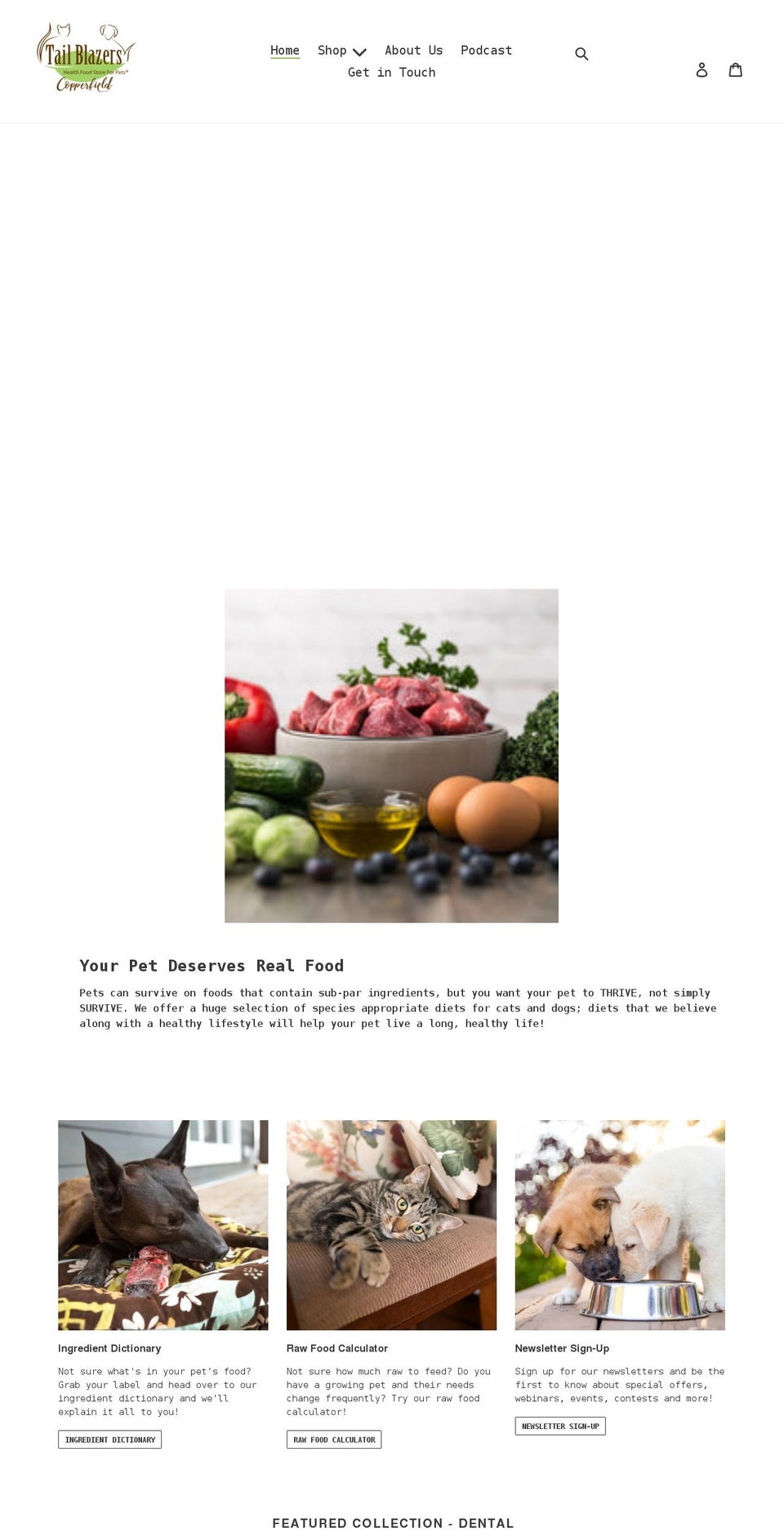 tailblazerscopperfield.com shopify website screenshot