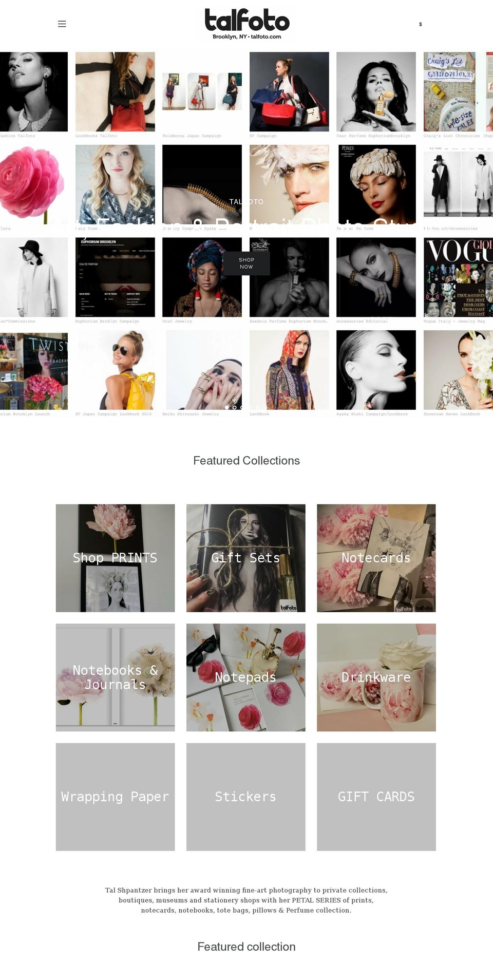talfoto.com shopify website screenshot