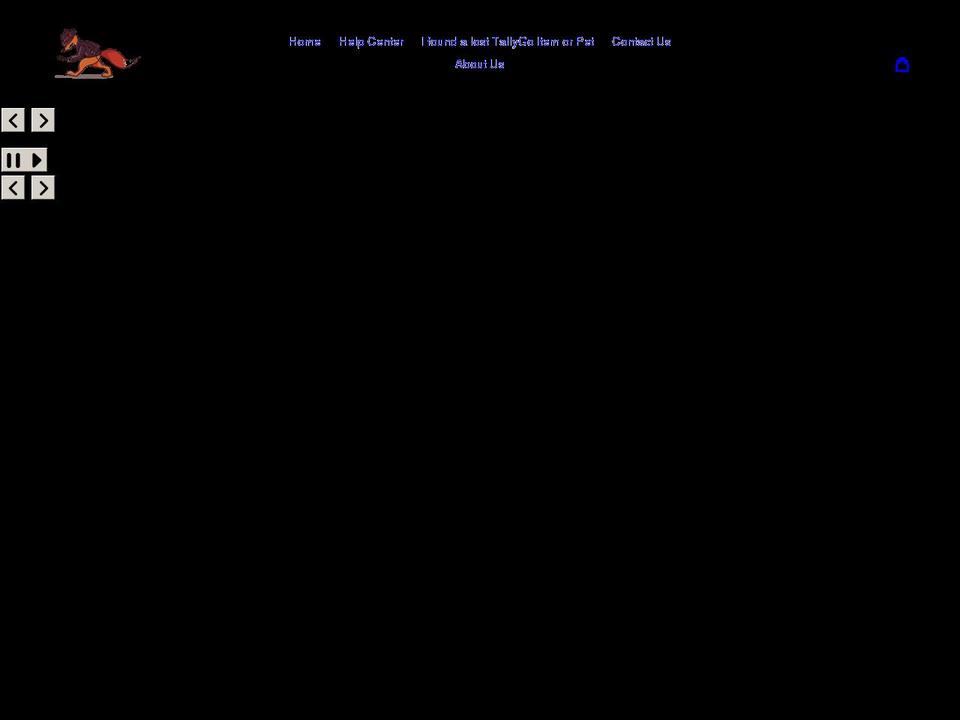 tallygo.com shopify website screenshot