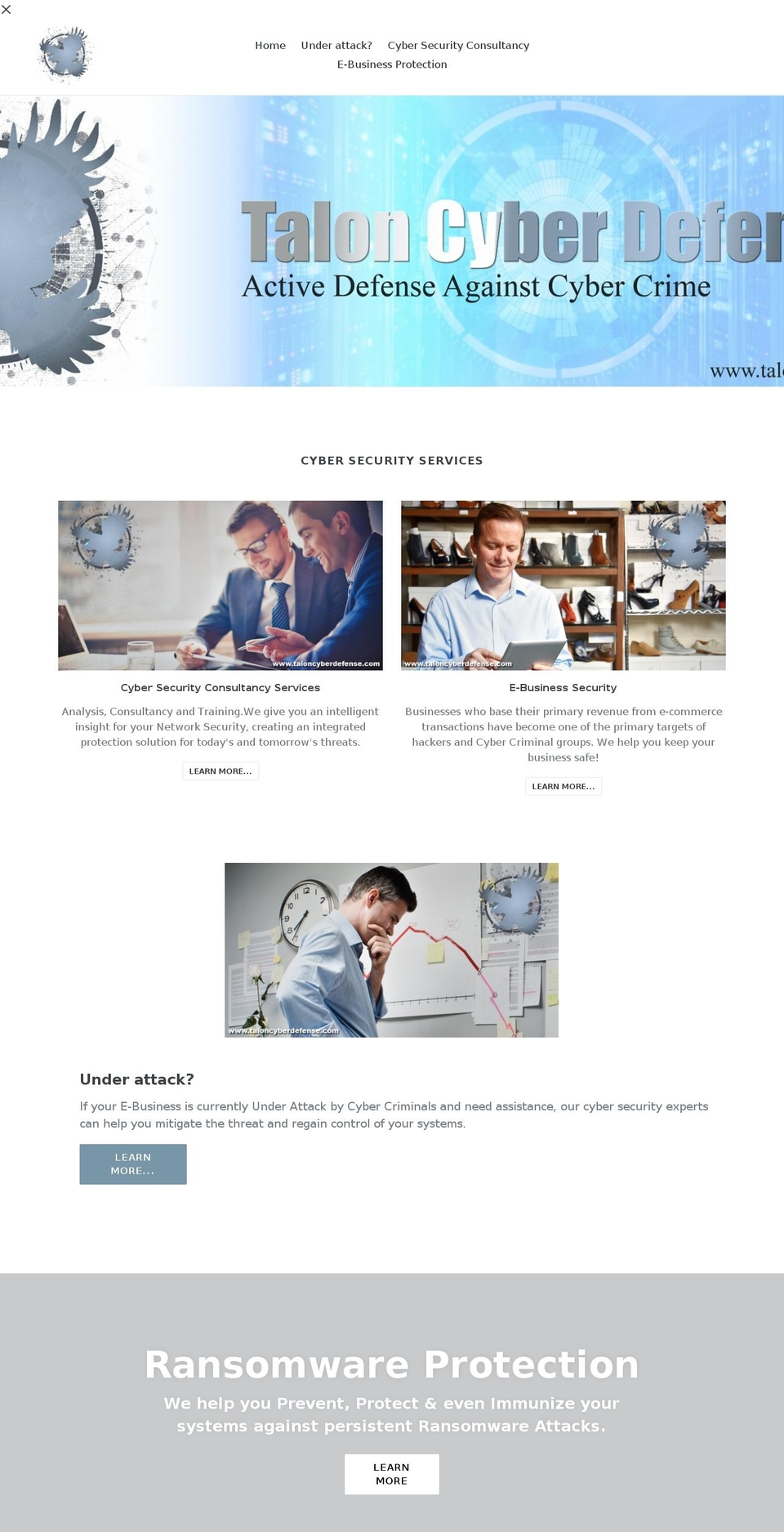taloncyberdefense.com — Shopify storefront screenshot