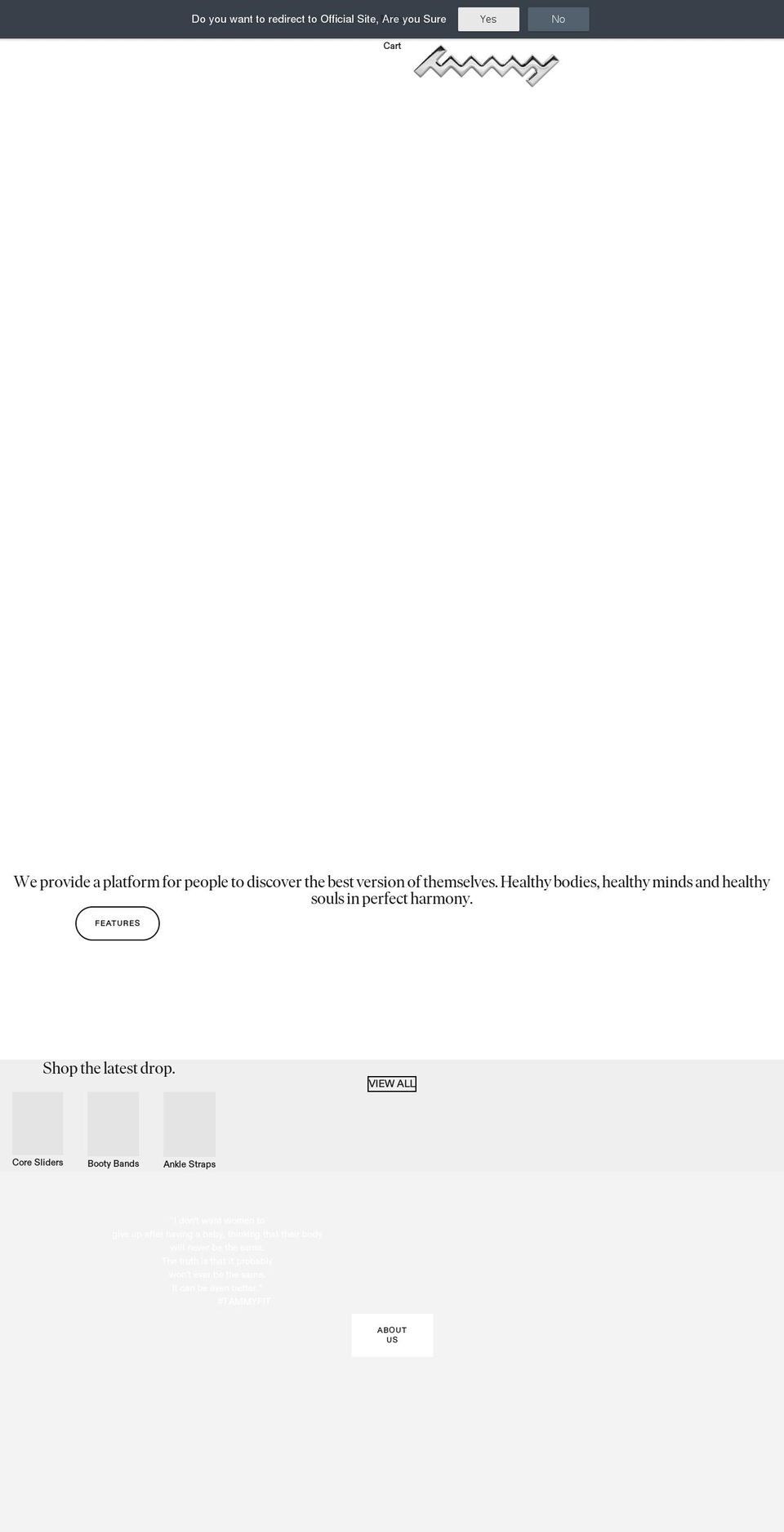 tammyhembrowfitness.com — Shopify storefront screenshot
