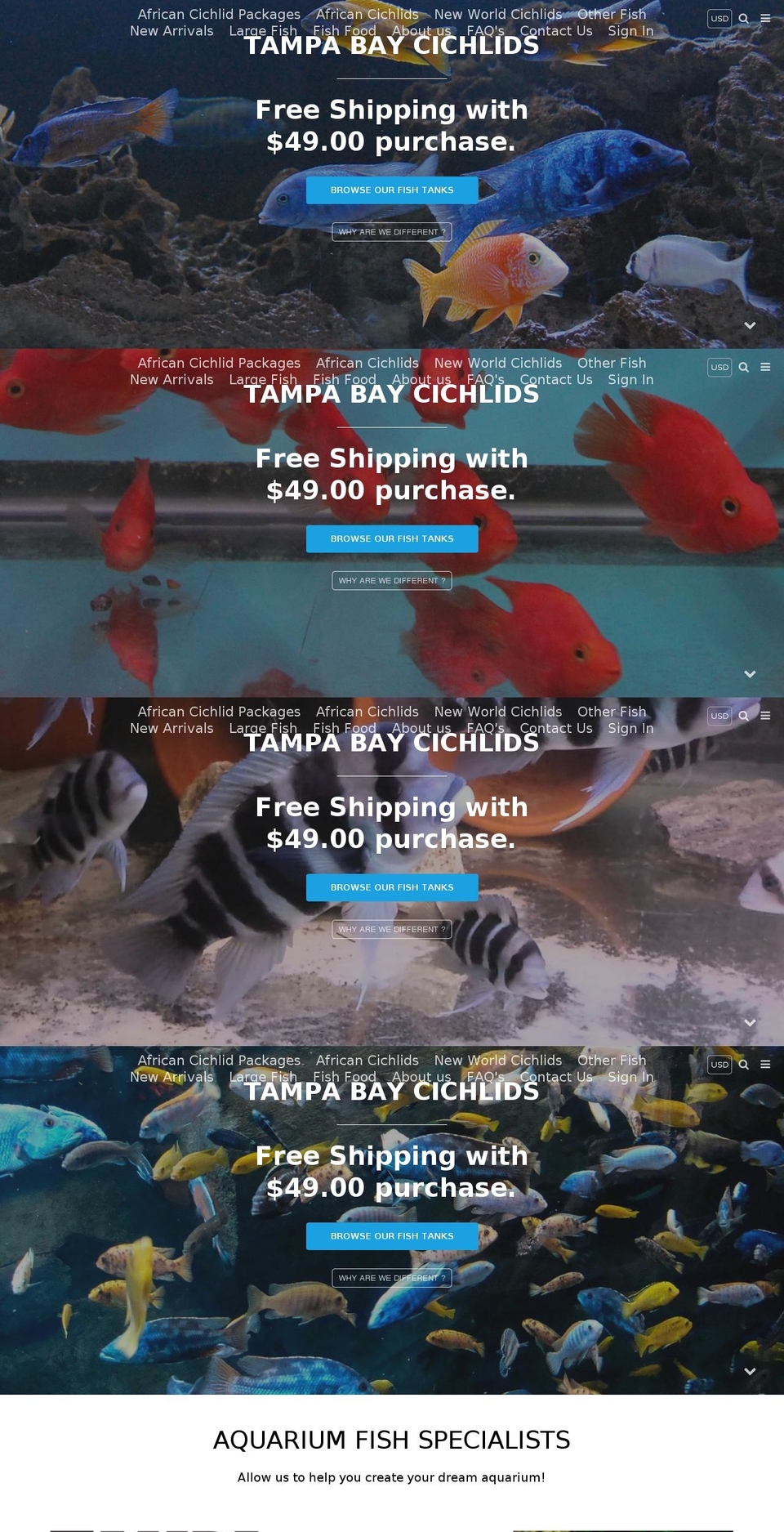 tampabaycichlids.com shopify website screenshot