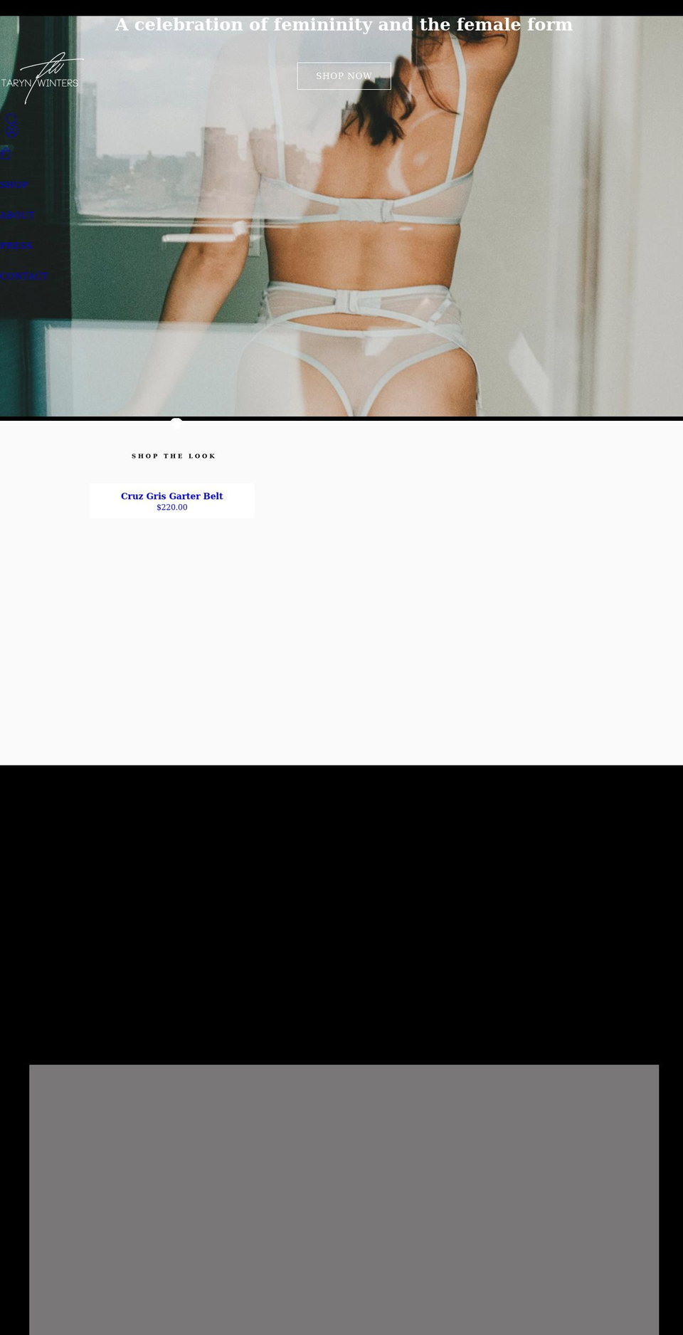tarynwinters.com shopify website screenshot