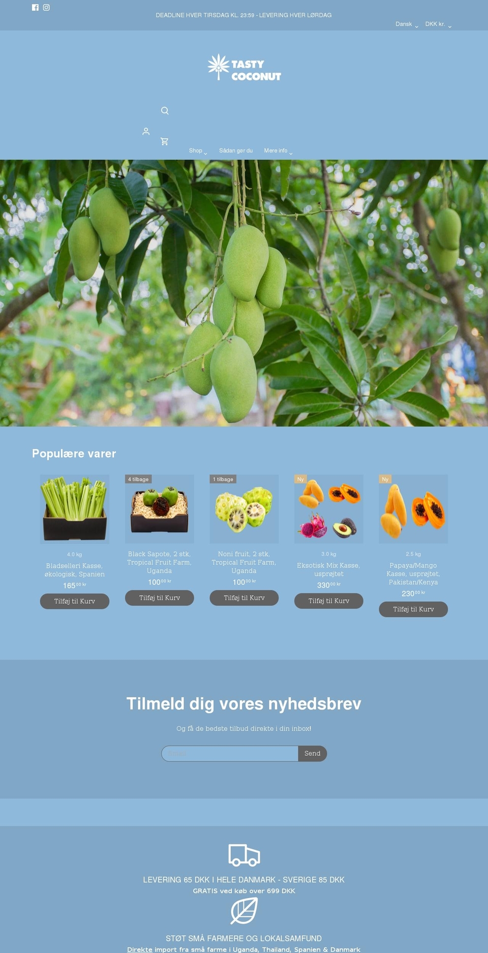 tasty-coconut.com shopify website screenshot