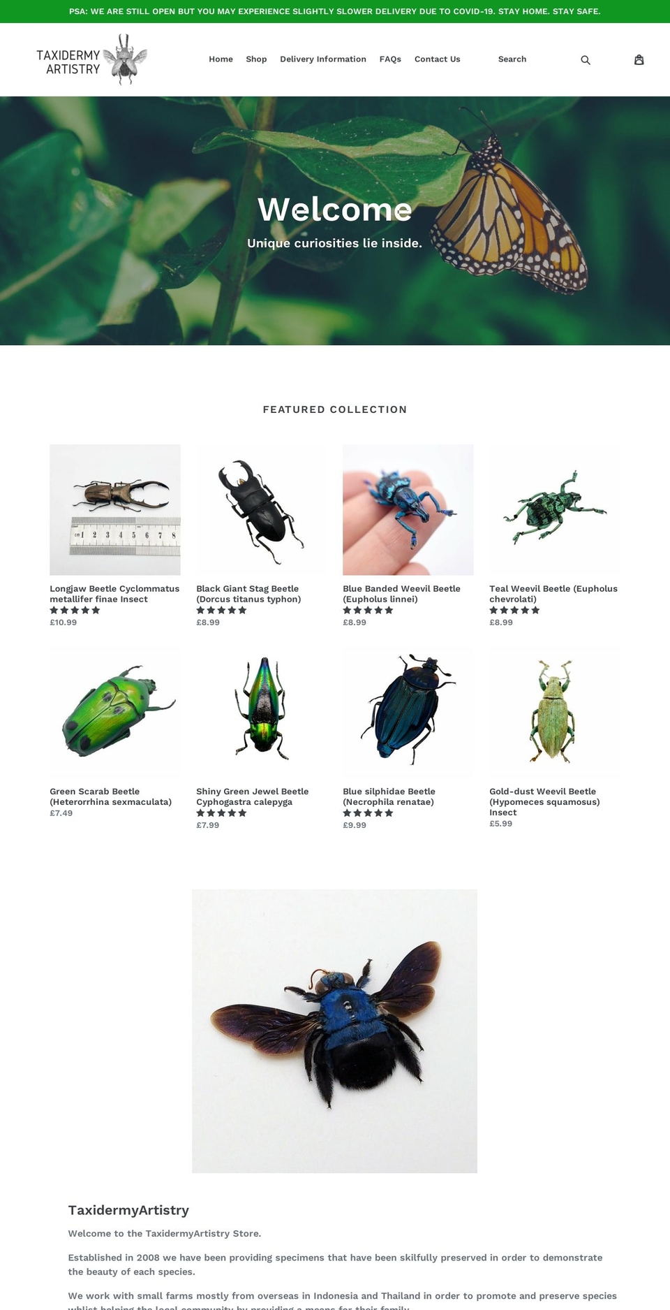 taxidermyartistry.com — Shopify storefront screenshot