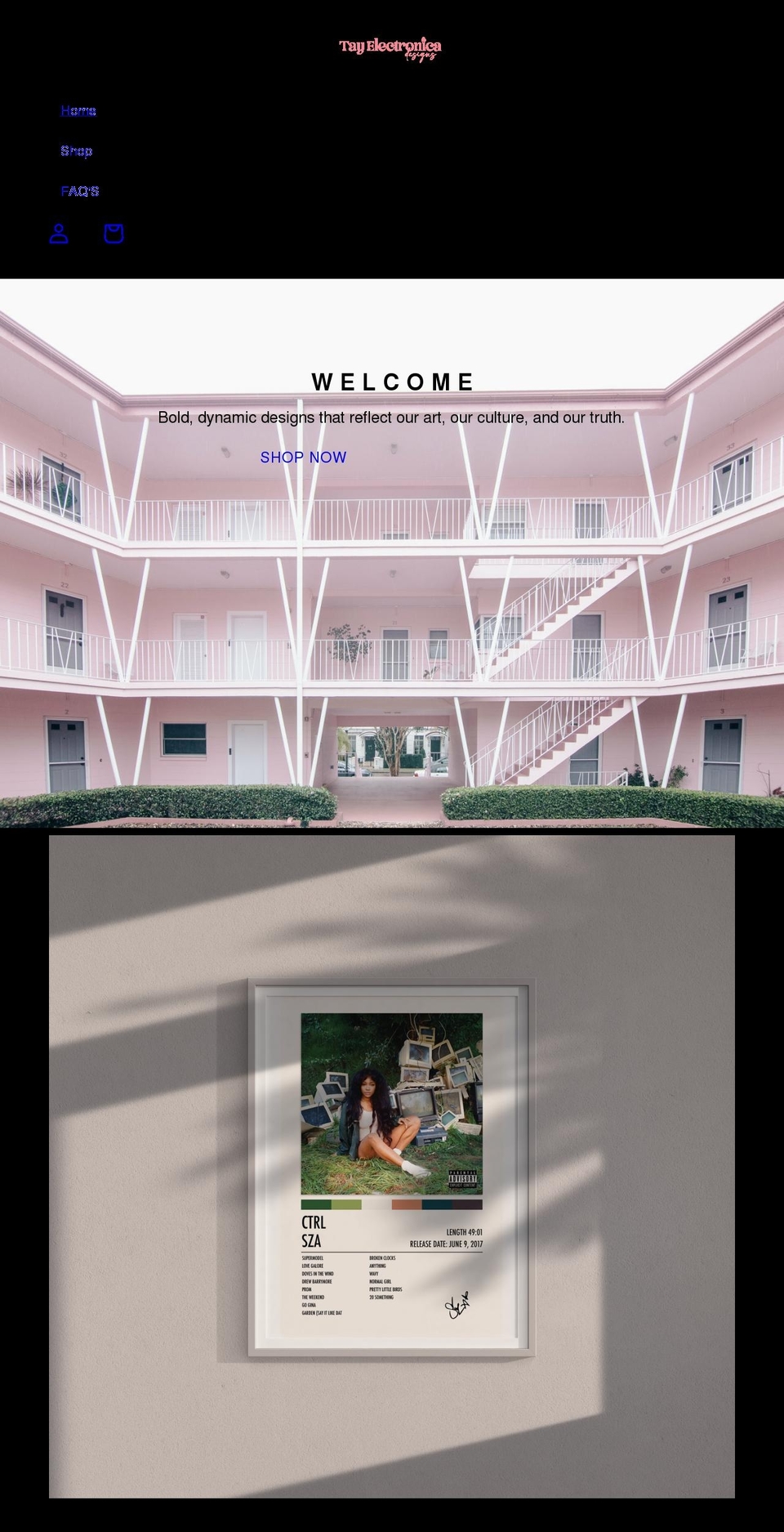 tayelectronica.com shopify website screenshot
