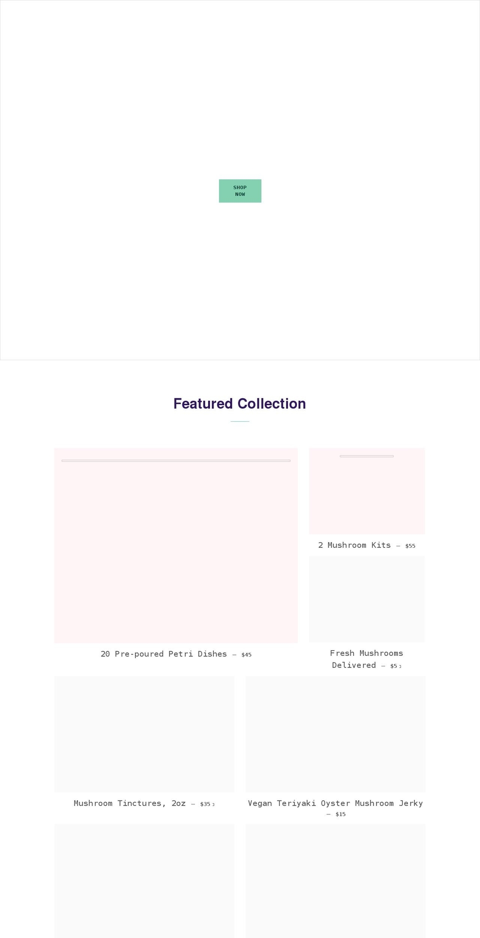 taylorsmushrooms.com — Shopify storefront screenshot