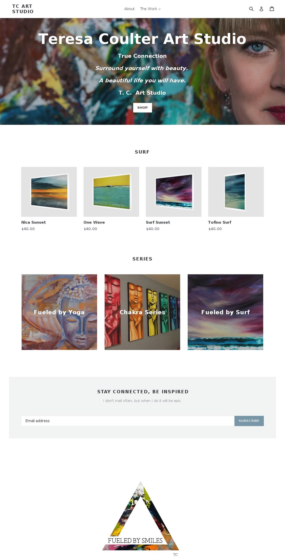 tcartstudio.com — Shopify storefront screenshot