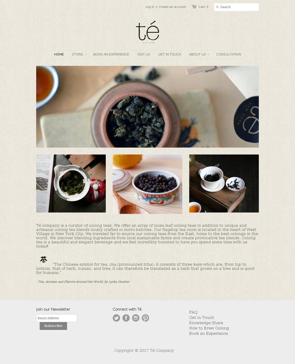 te-nyc.com shopify website screenshot