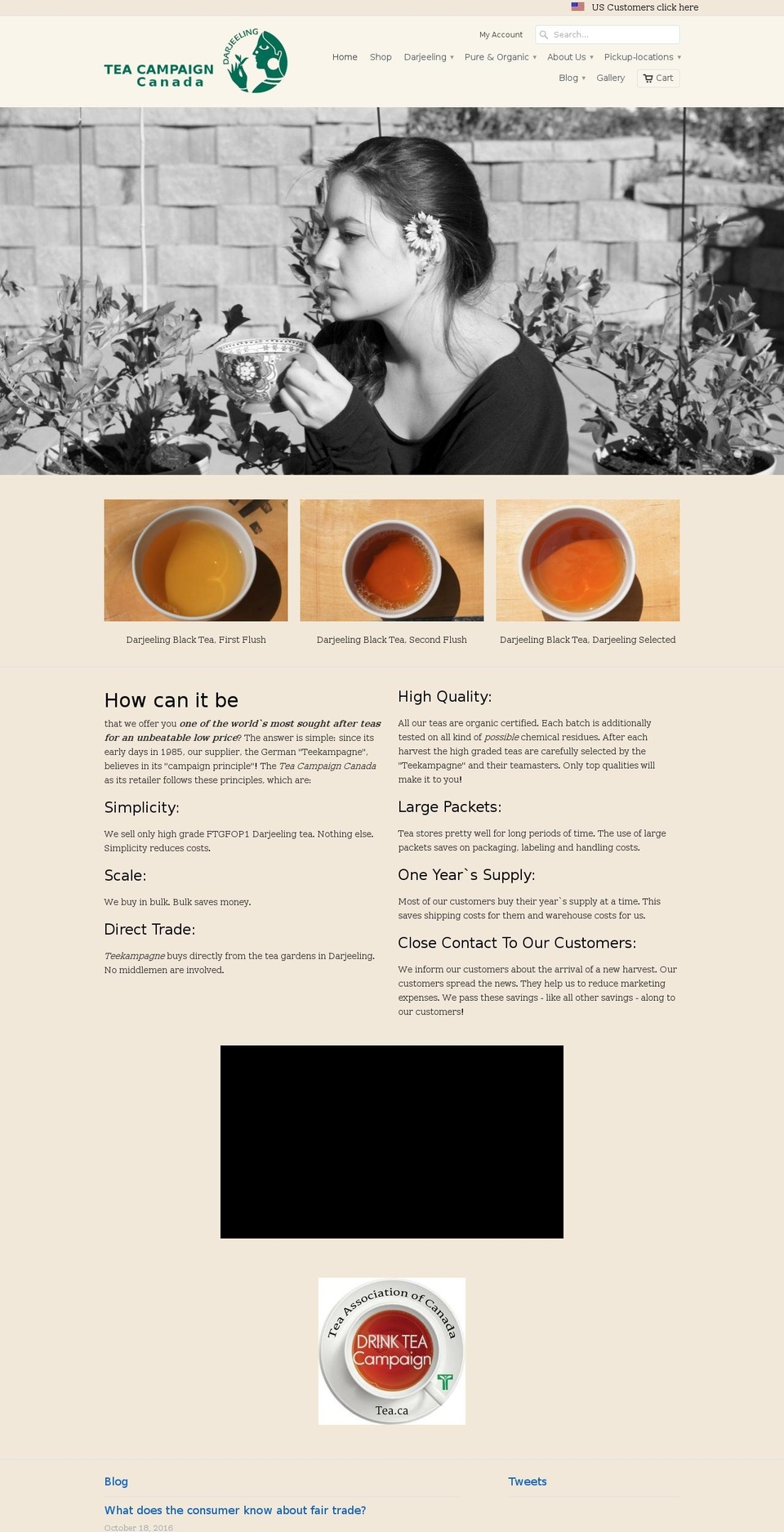 teacampaign.ca shopify website screenshot