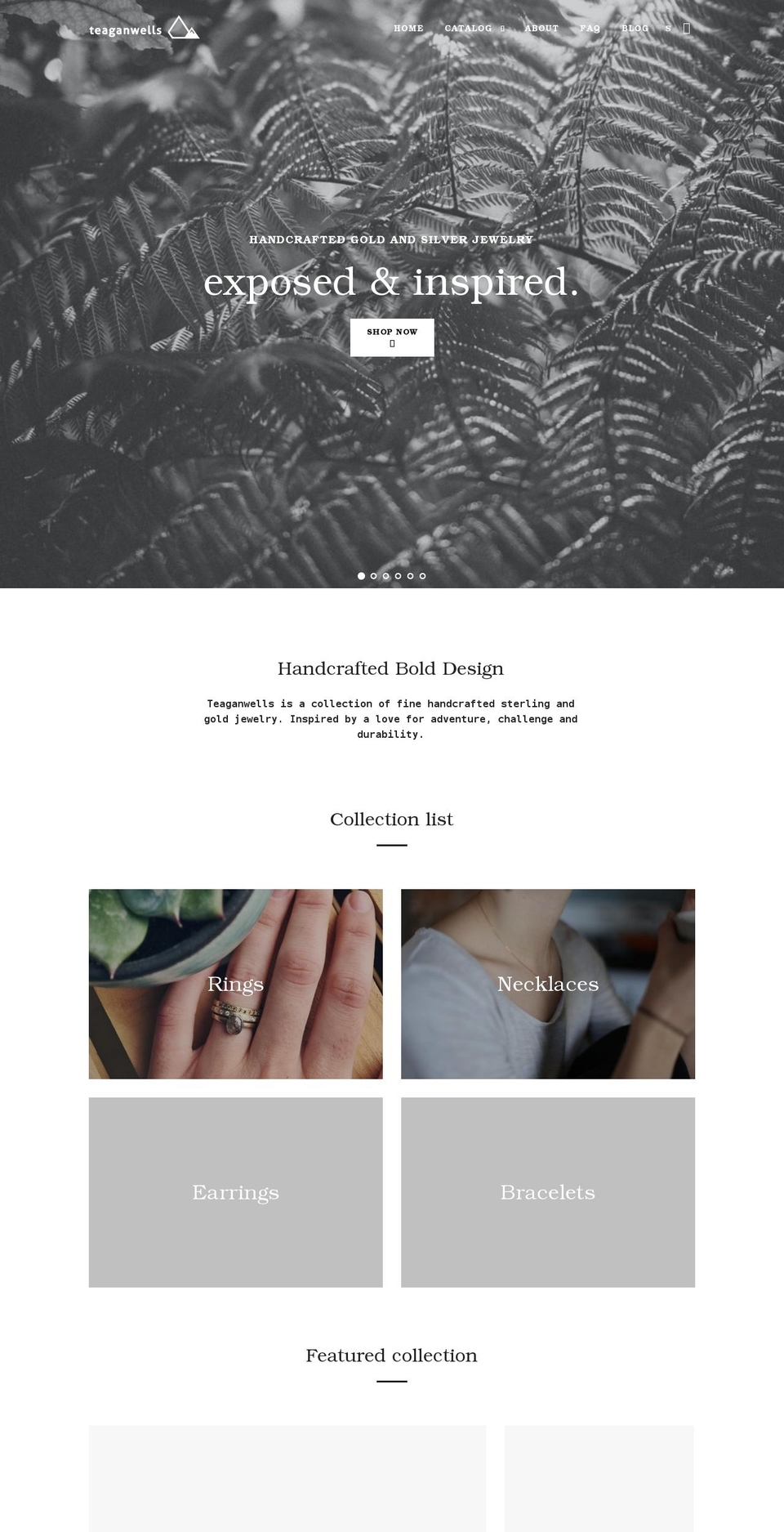 teaganwells.com shopify website screenshot