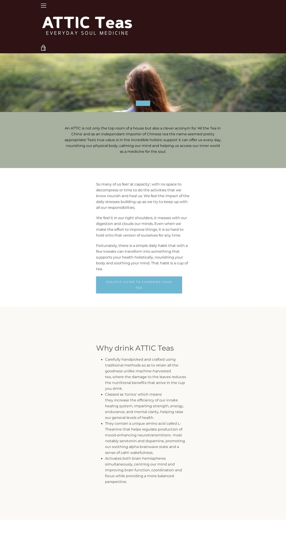 teagung.com shopify website screenshot