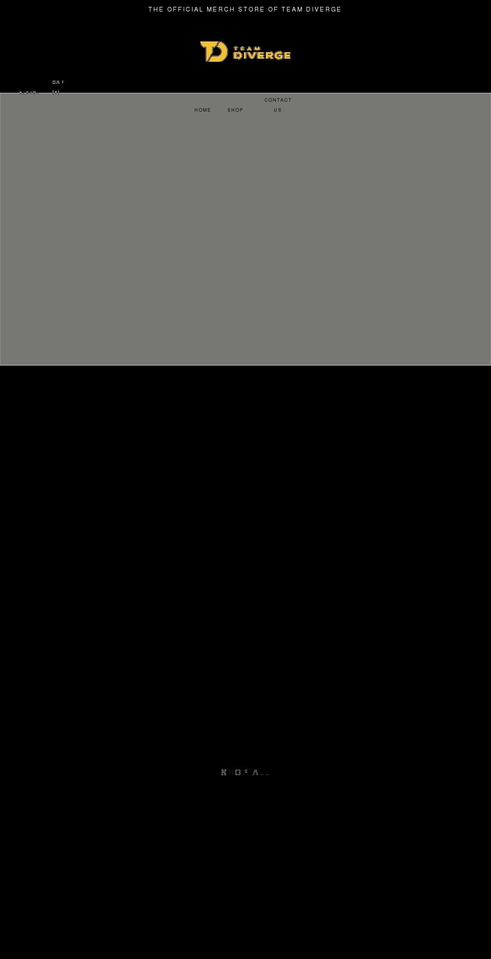 team-diverge.myshopify.com shopify website screenshot