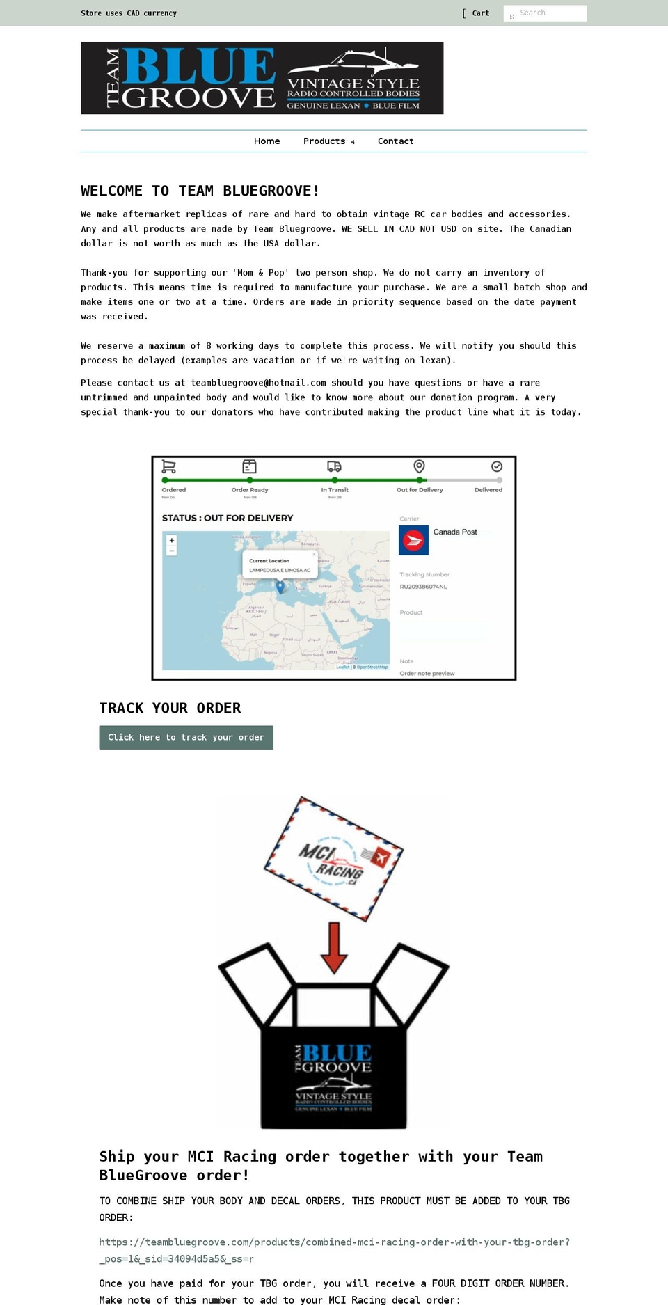 teambluegroove.com shopify website screenshot