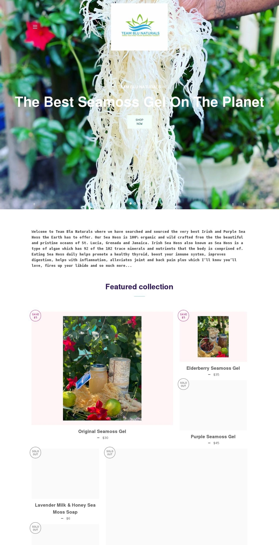 teamblunaturals.com shopify website screenshot