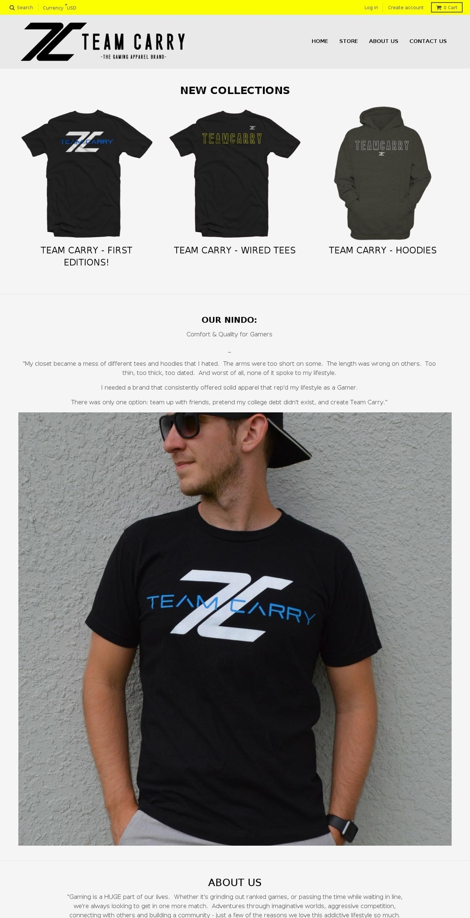 teamcarry.com shopify website screenshot
