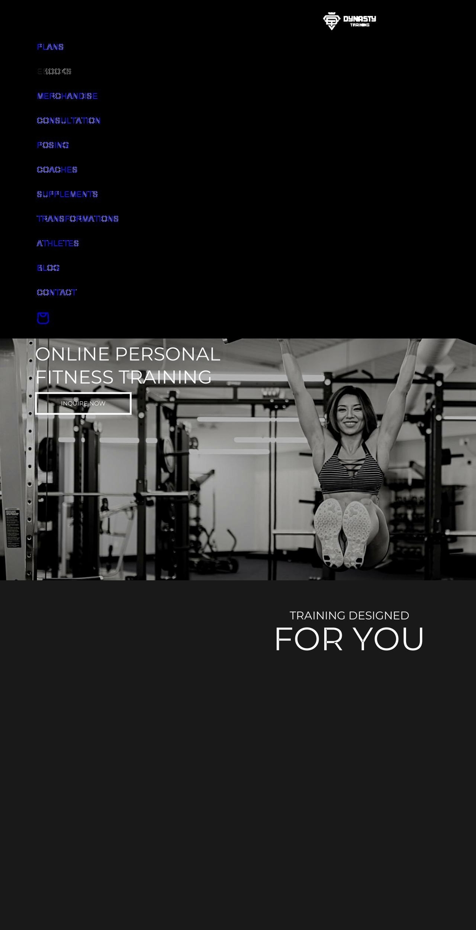 teamdynastytraining.com shopify website screenshot