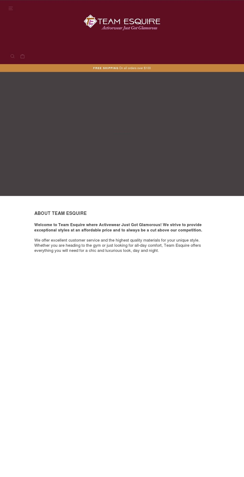 teamesquire.com shopify website screenshot