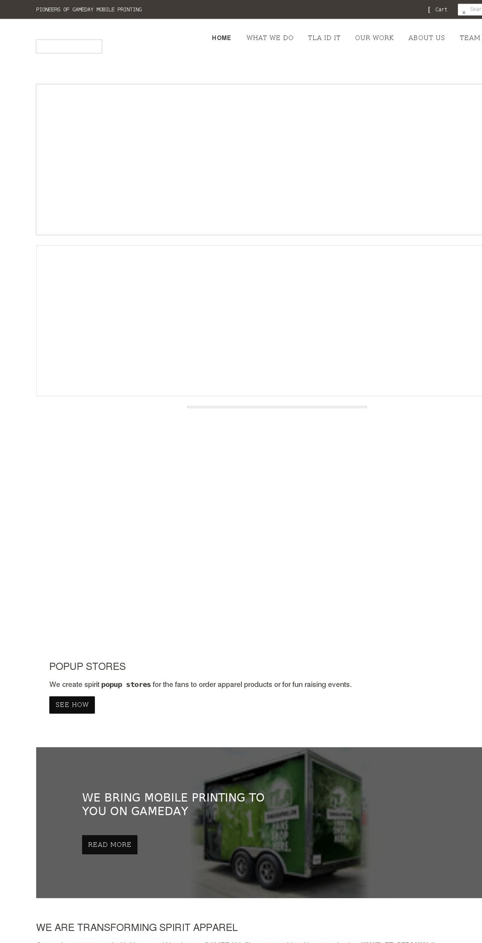 teamlogoapparel.com shopify website screenshot