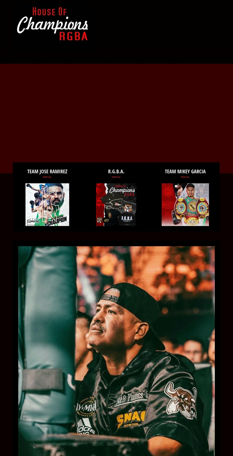 teammikeygarciashop.com shopify website screenshot