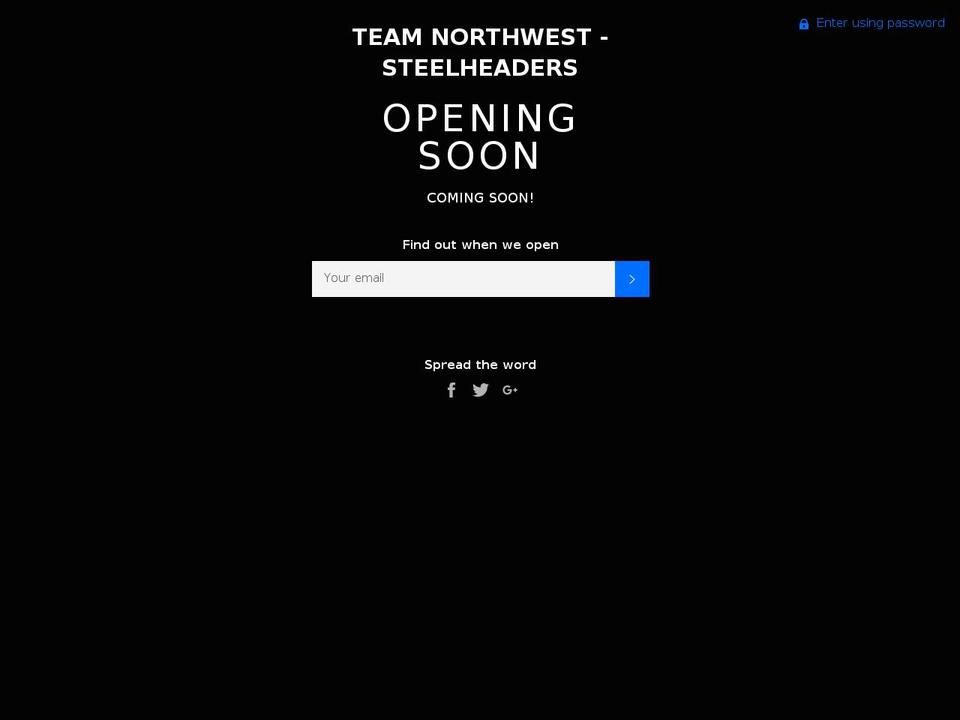 teamnorthweststeelheaders.com shopify website screenshot