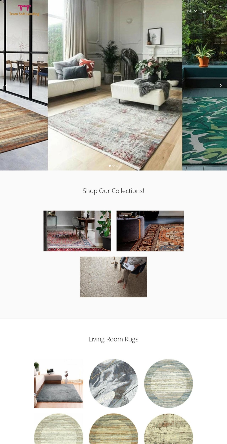 teamsoftlanding.com shopify website screenshot