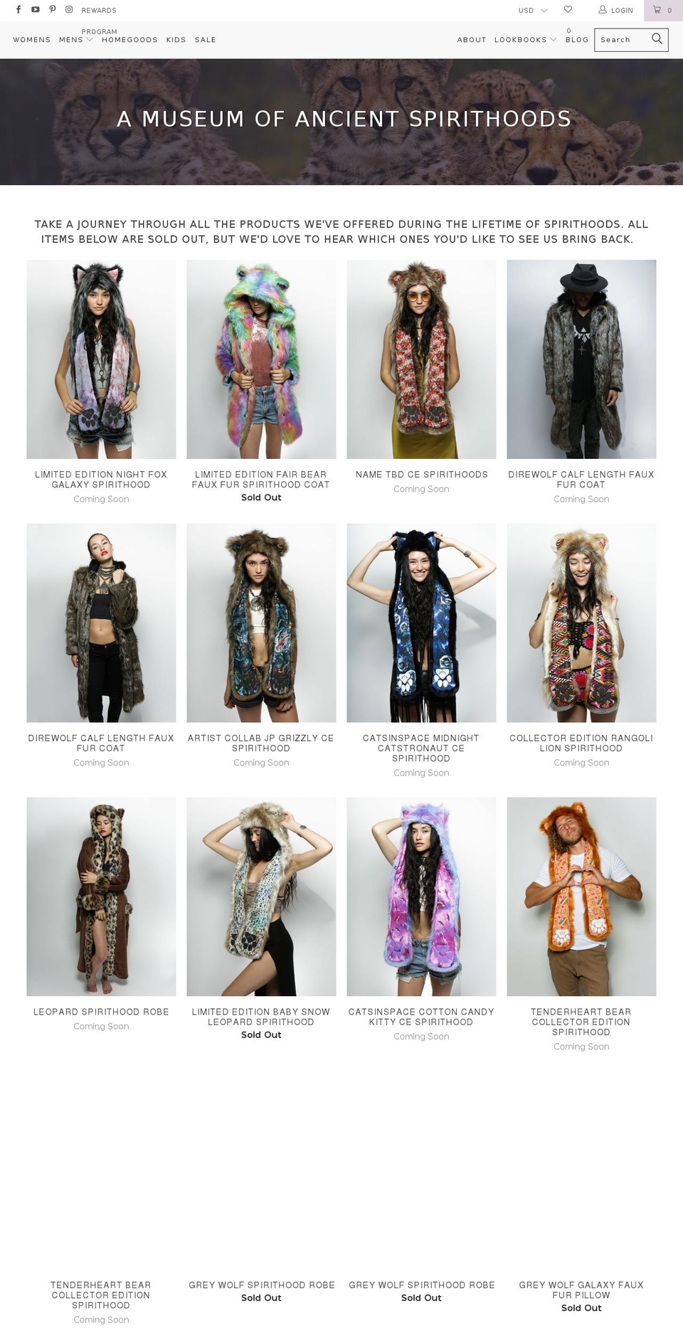 teamspirithoods.com — Shopify storefront screenshot
