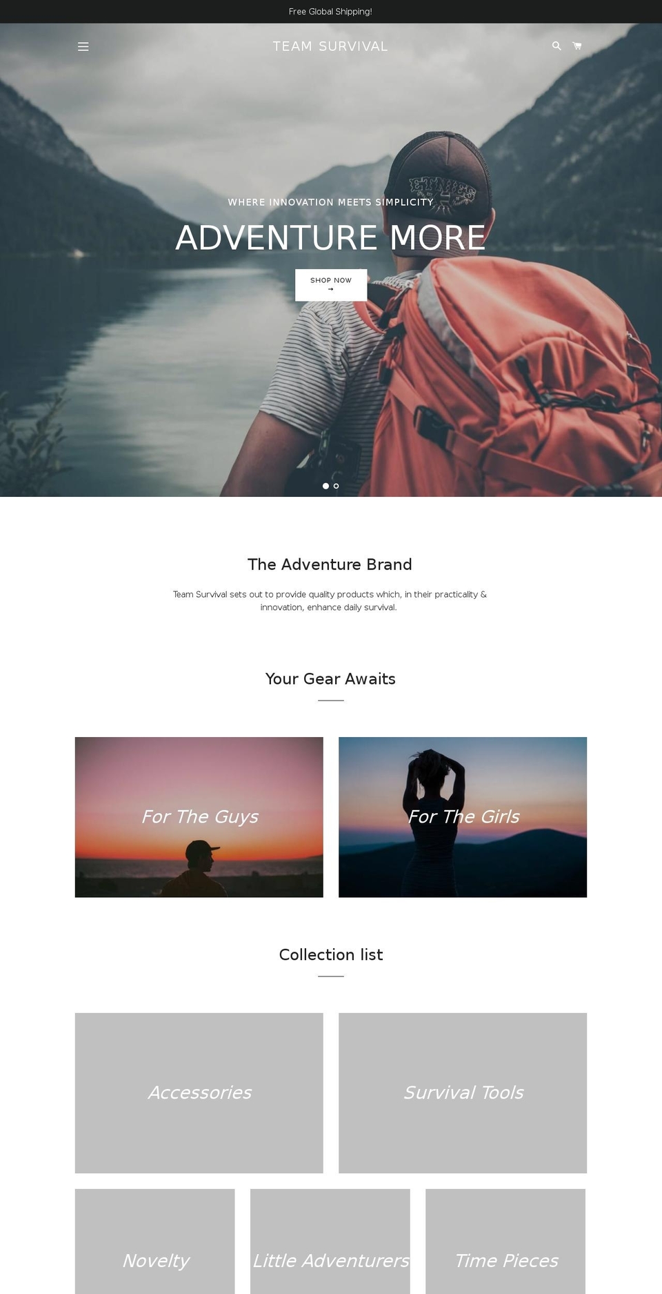 teamsventure.com — Shopify storefront screenshot