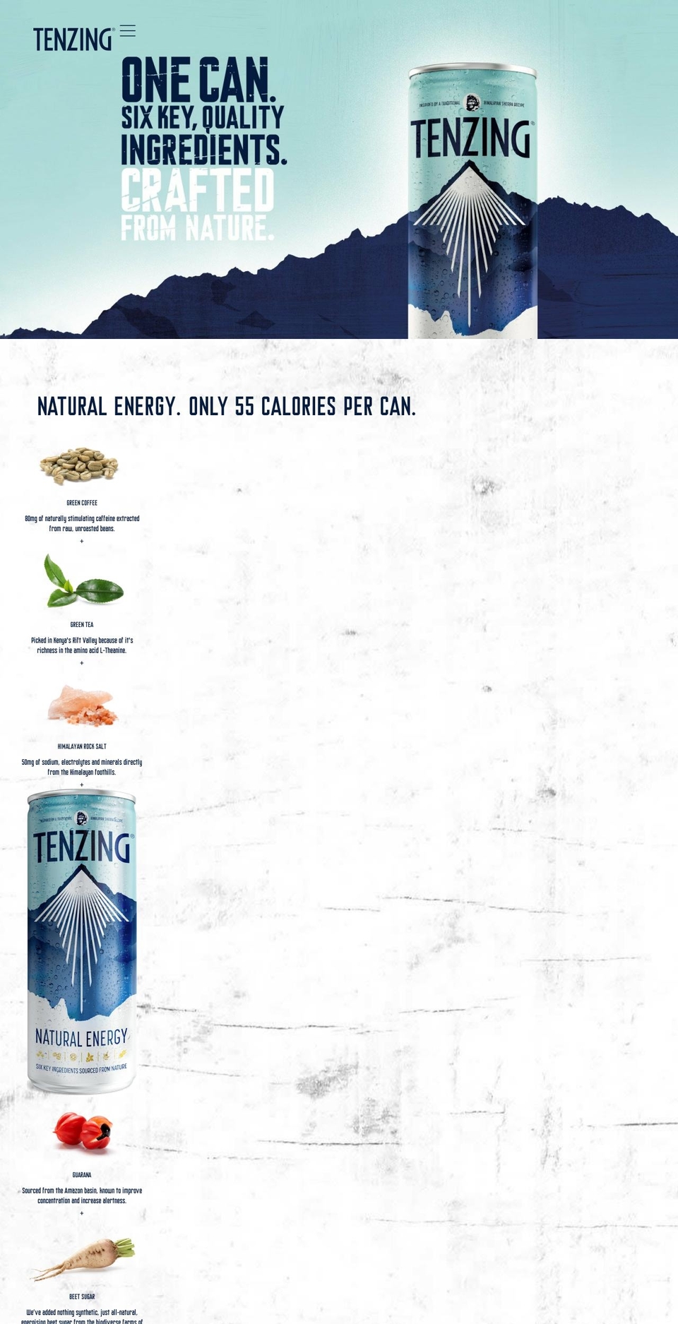 teamtenzing.com shopify website screenshot