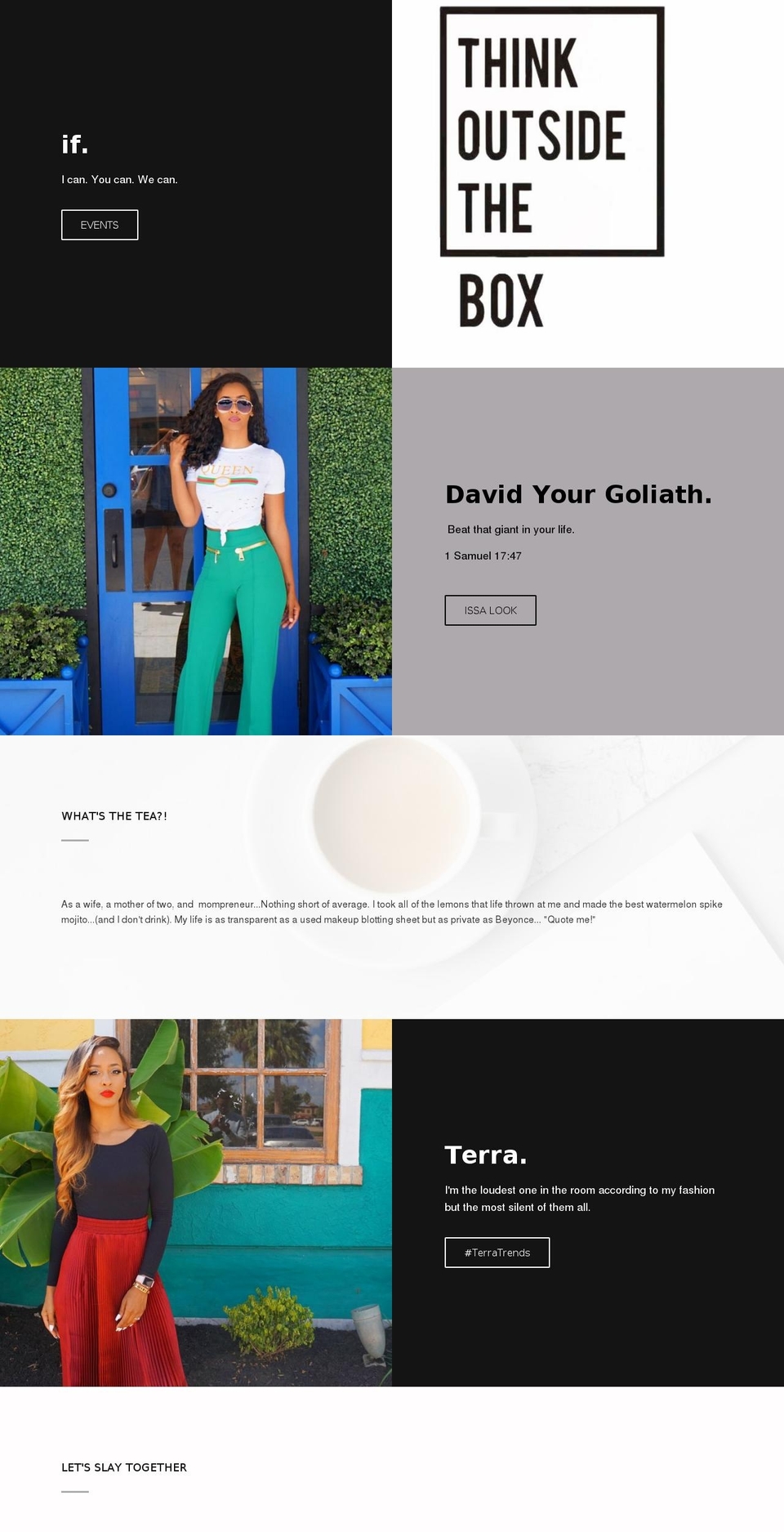 teamterra.org shopify website screenshot
