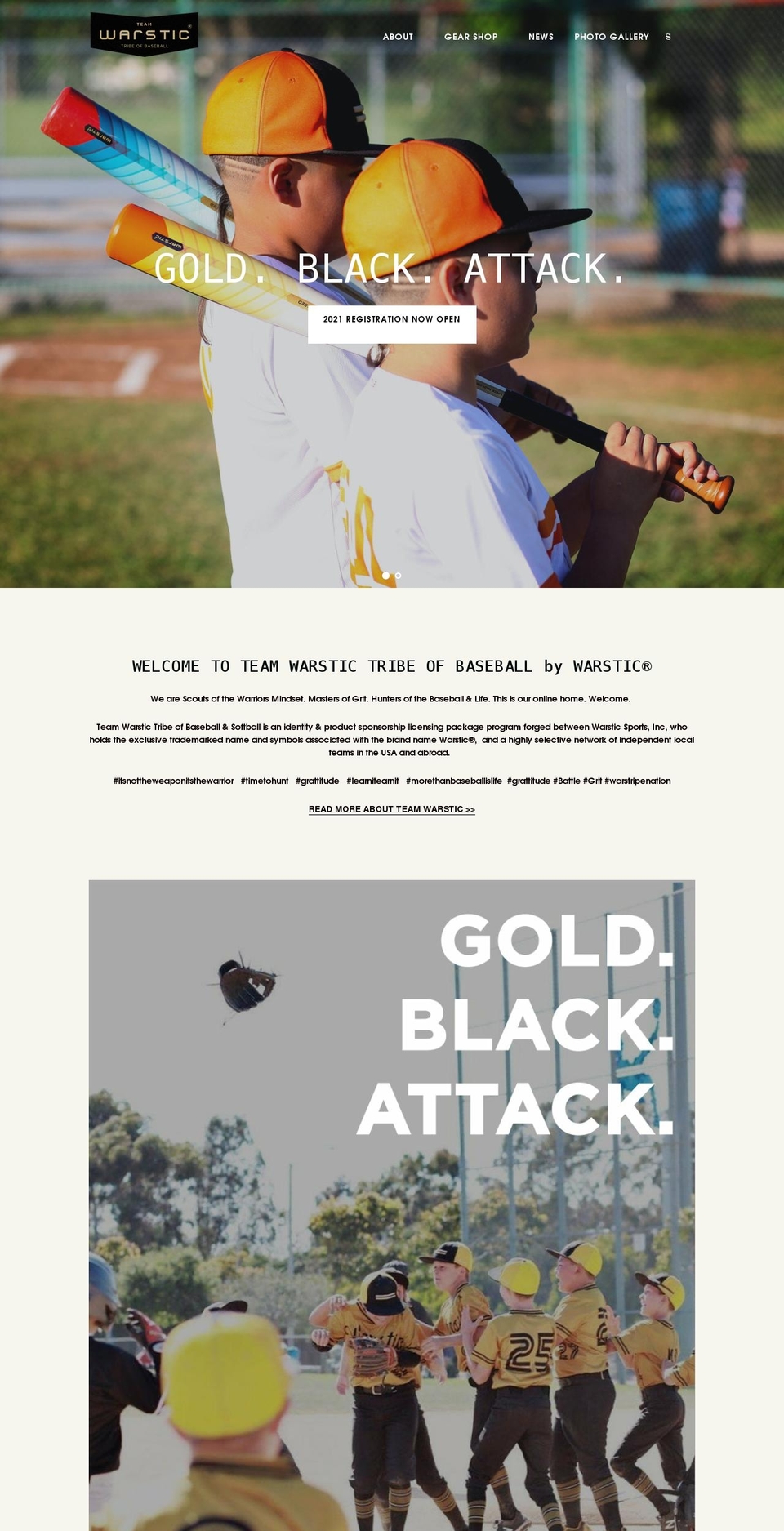 teamwarstic.org shopify website screenshot