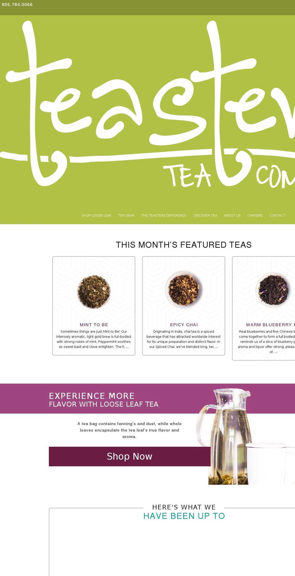 teasters.com shopify website screenshot