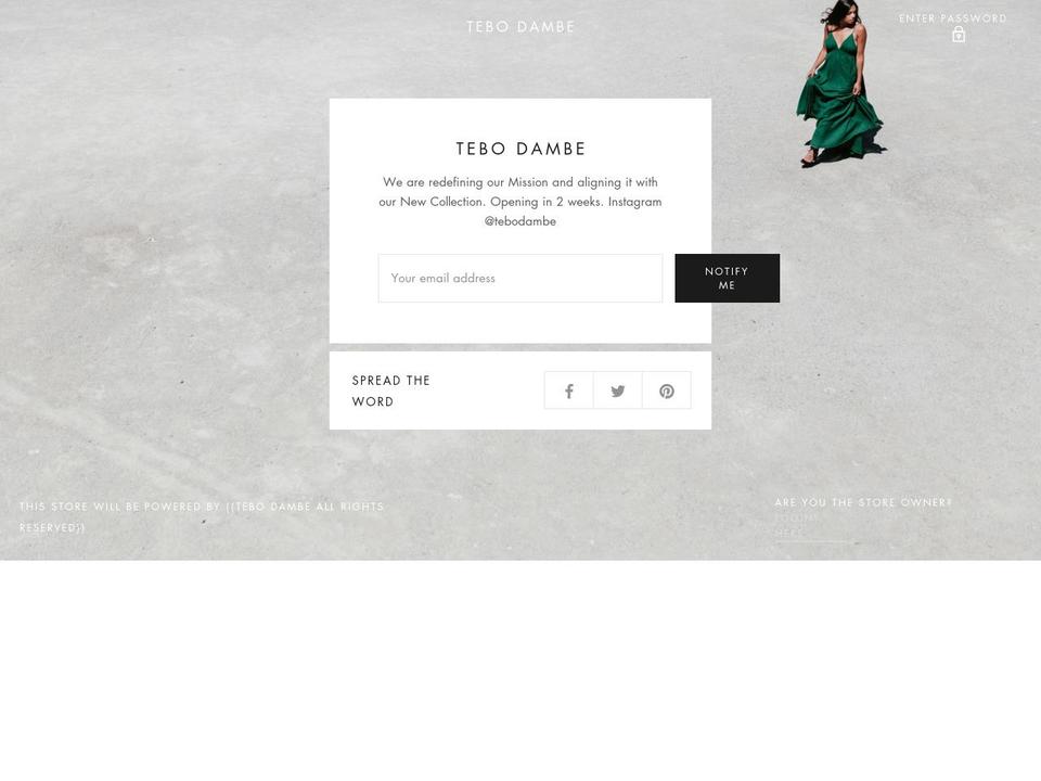 tebodambe.com shopify website screenshot