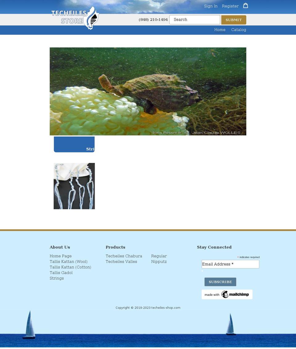 techeiles-shop.com shopify website screenshot