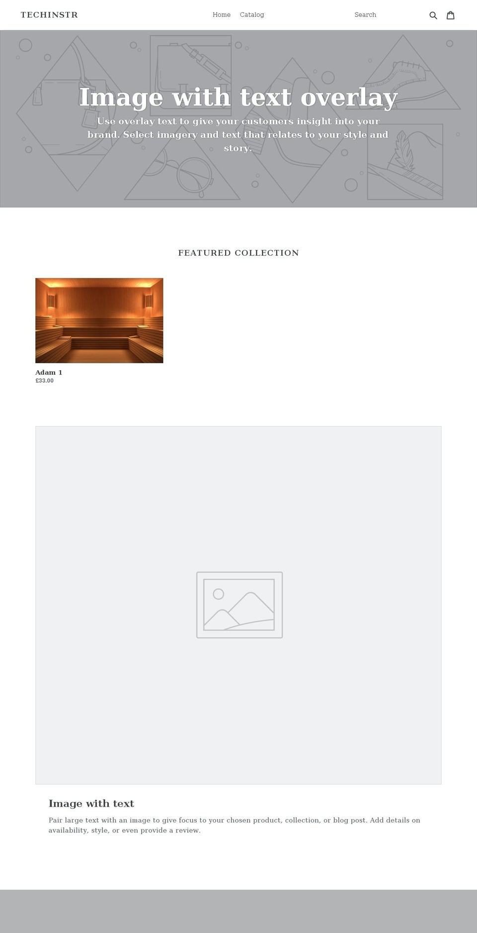 techinstr.myshopify.com shopify website screenshot