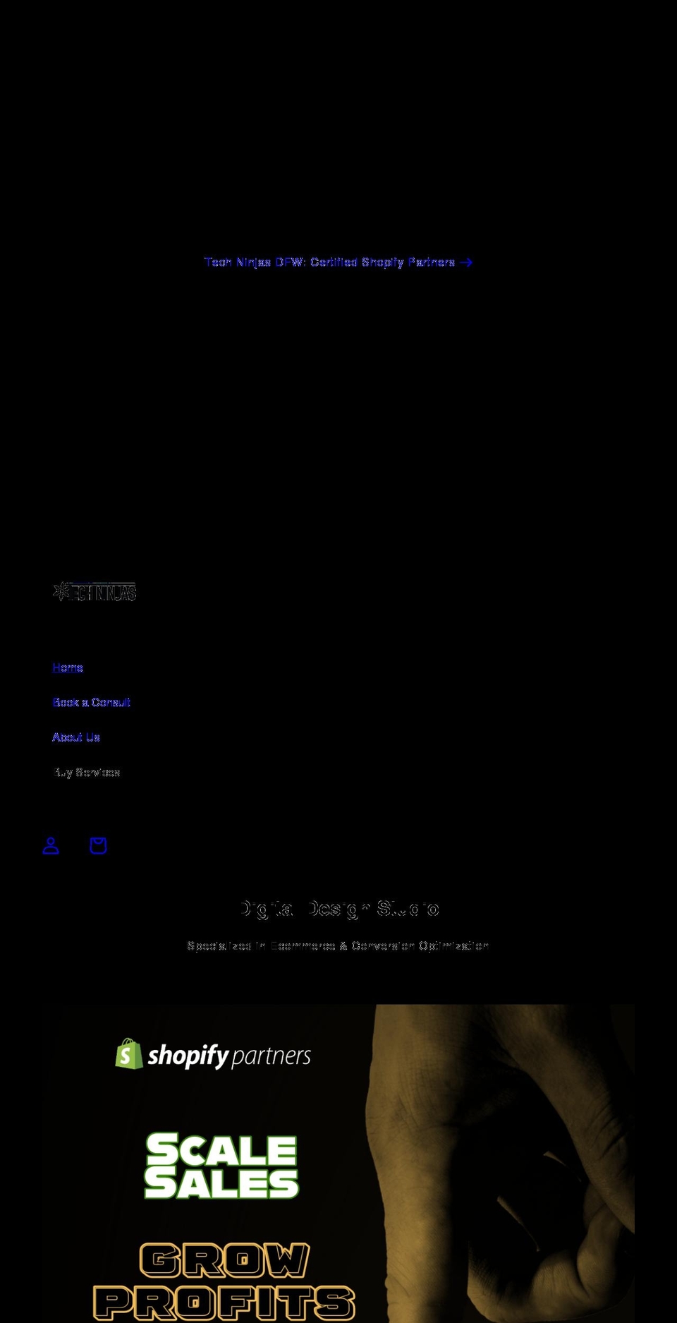 techninjasdfw.com shopify website screenshot