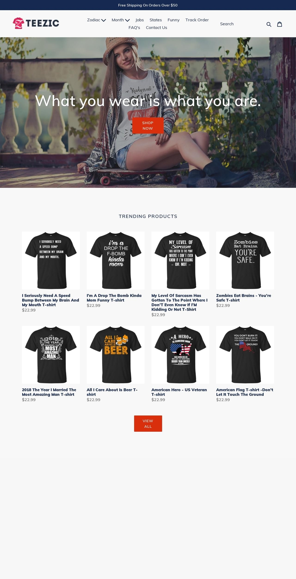 teezic.com — Shopify storefront screenshot