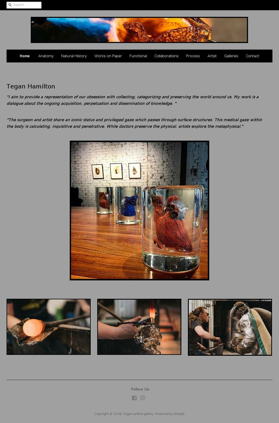 teganhamilton.com — Shopify storefront screenshot