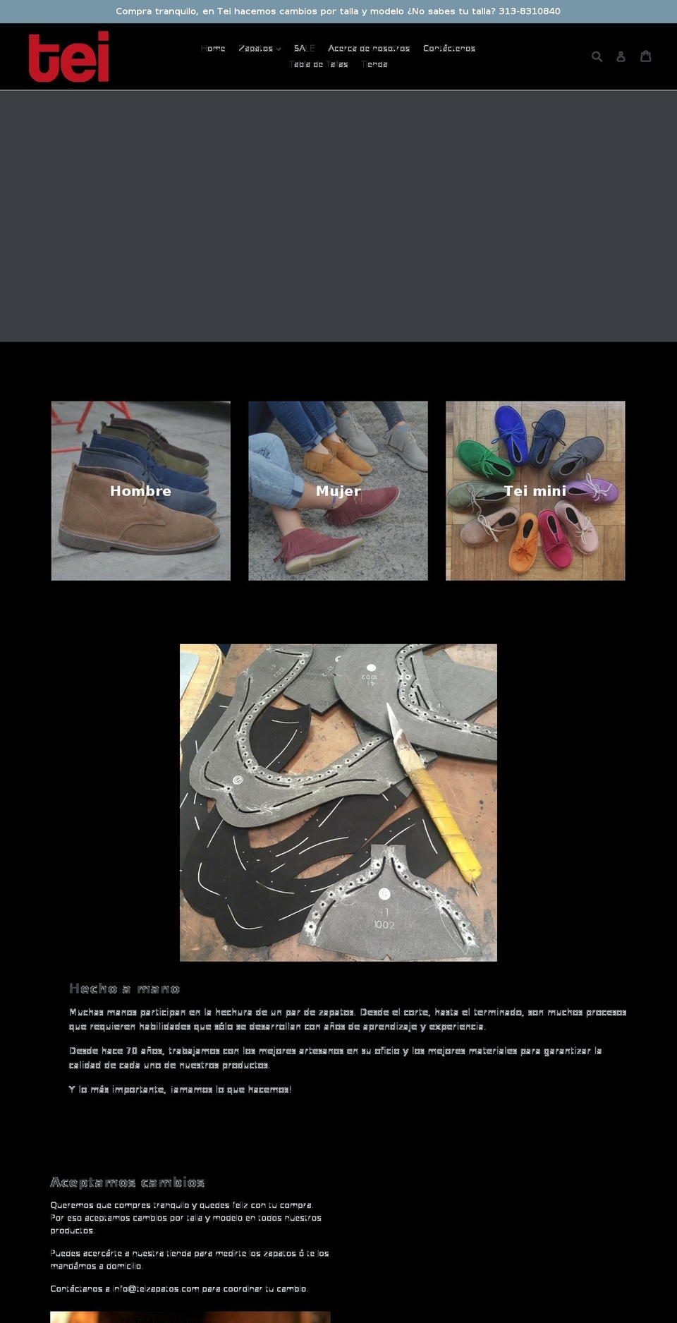 teizapatos.com — Shopify storefront screenshot