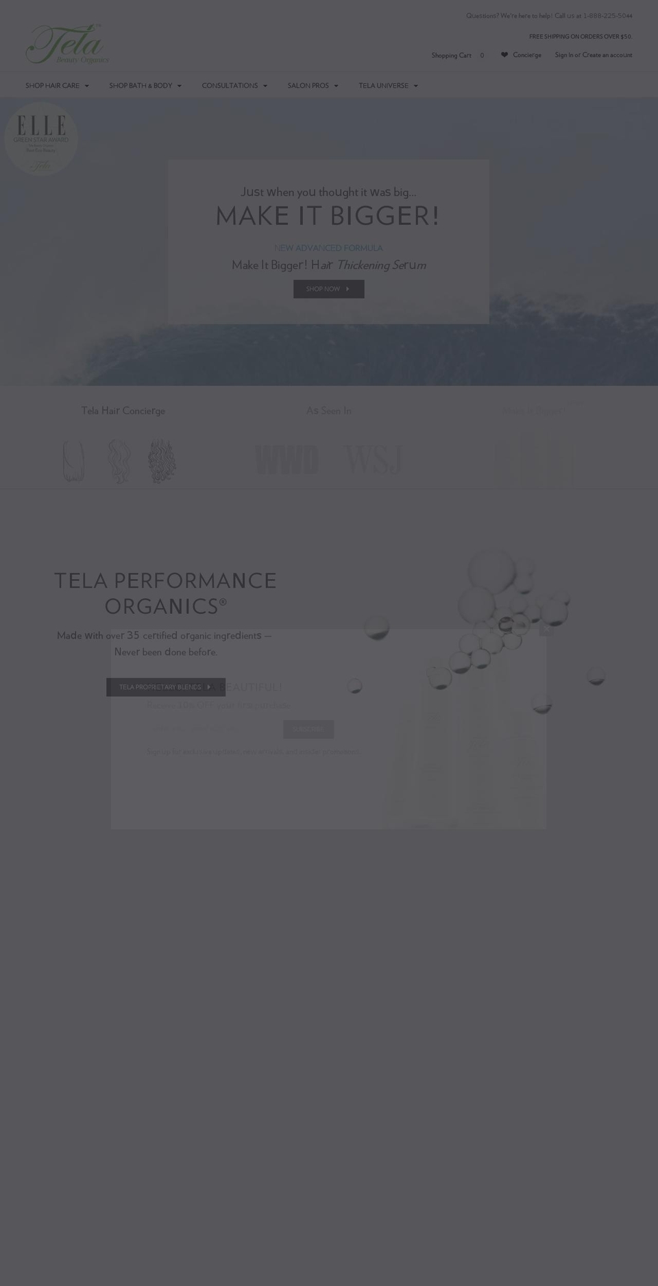 Tela Magic + Holiday Shopify theme site example telanyc.com