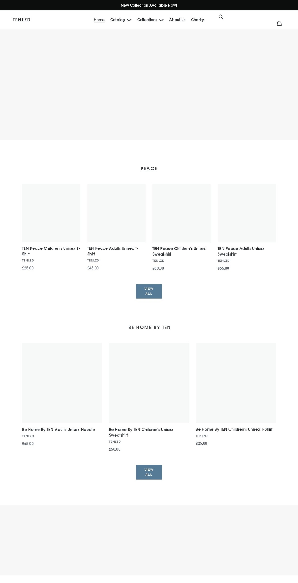 tenlzdapparel.com shopify website screenshot