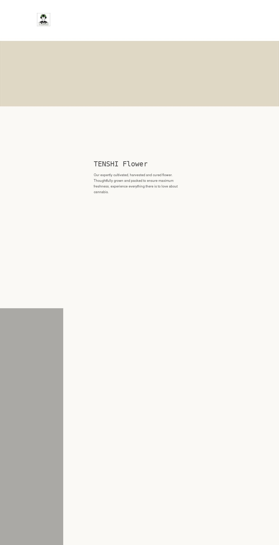 tenshiflying.com shopify website screenshot