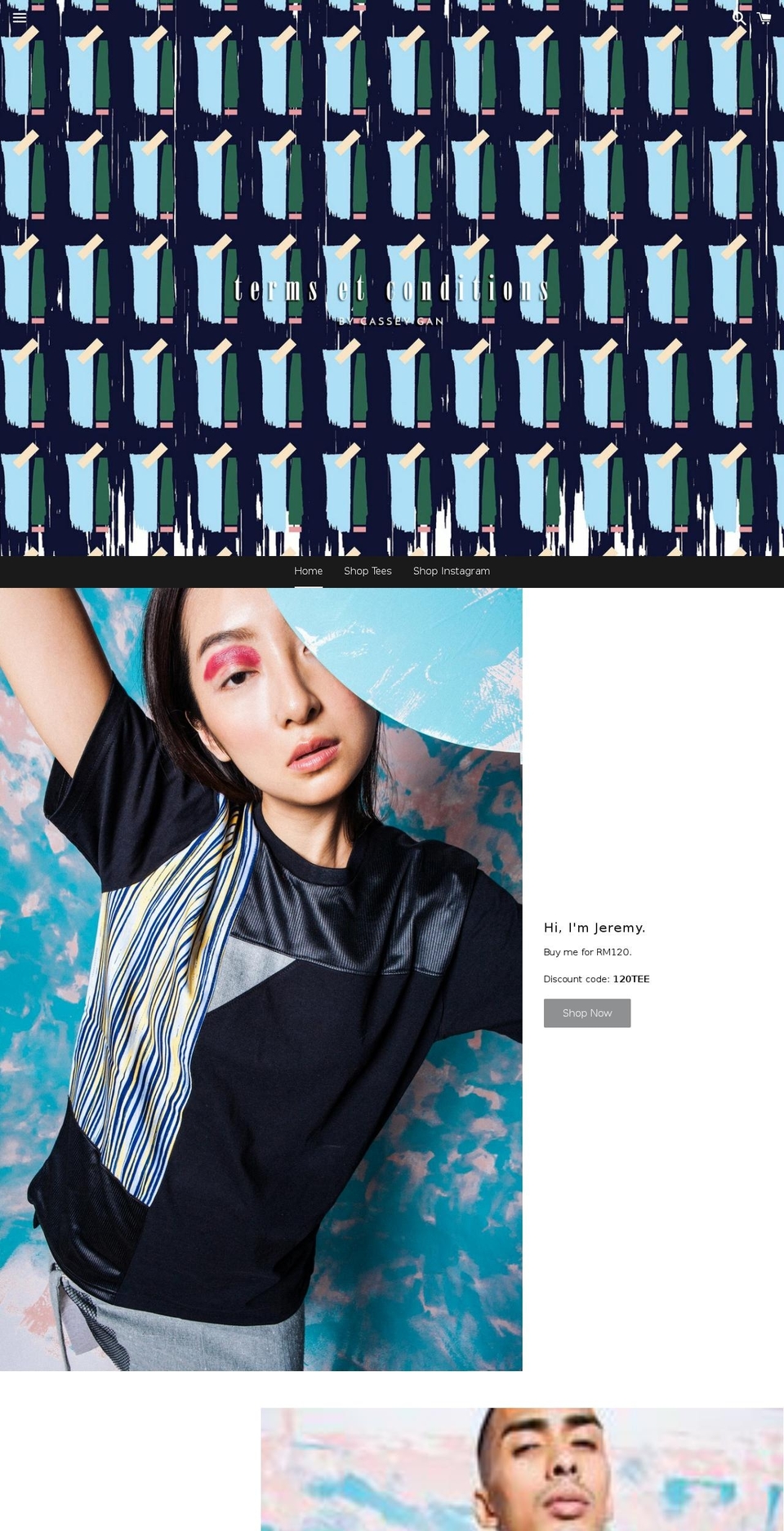 termsetconditions.com — Shopify storefront screenshot