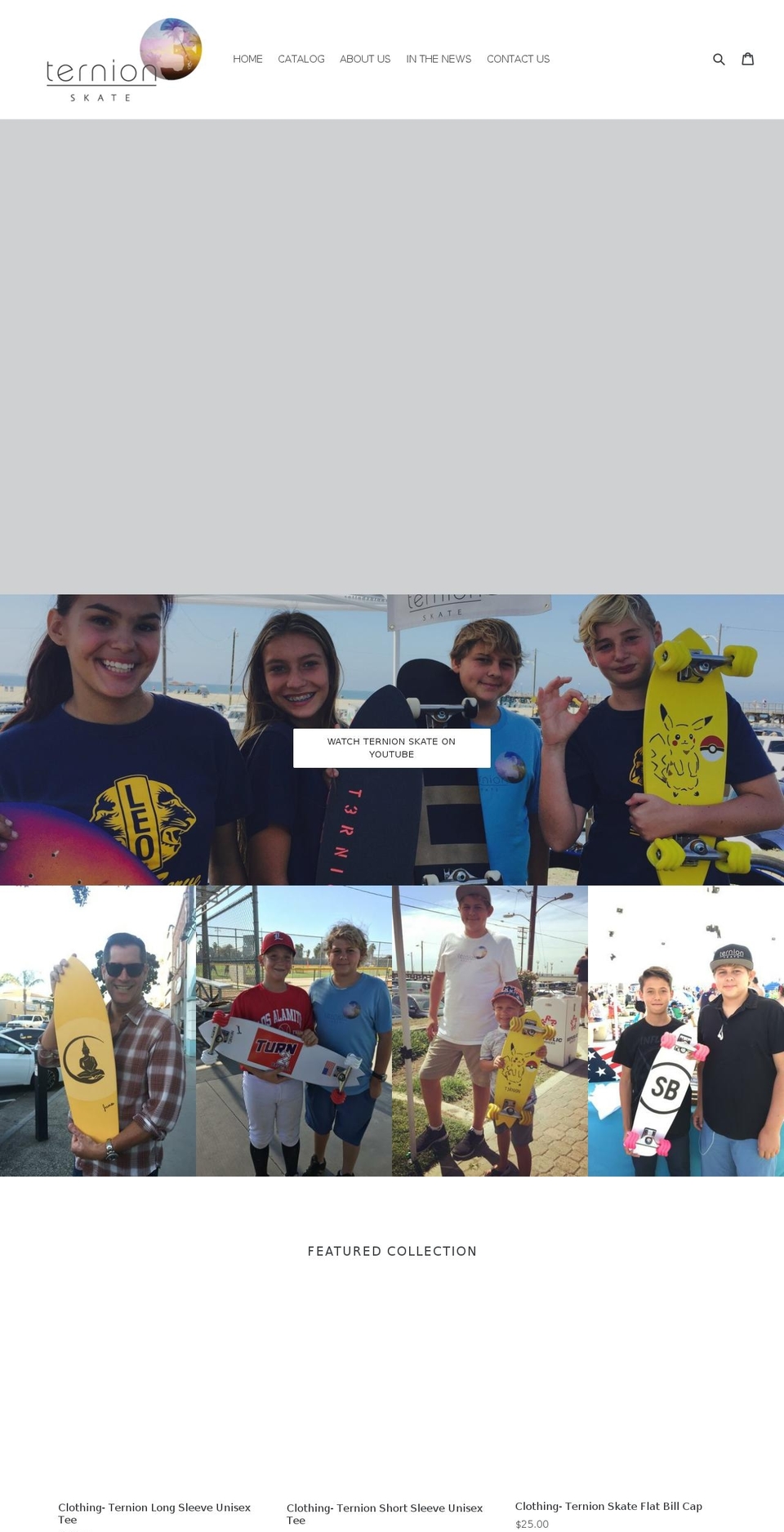 ternionskate.com shopify website screenshot