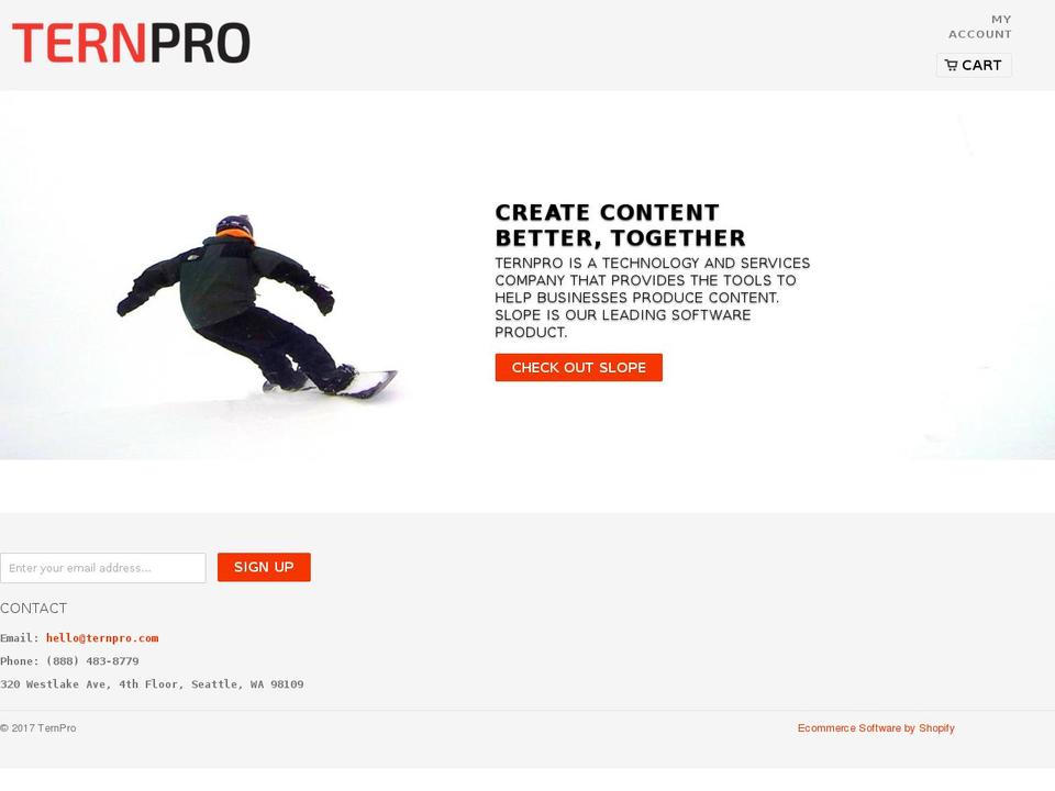 ternpro.com shopify website screenshot