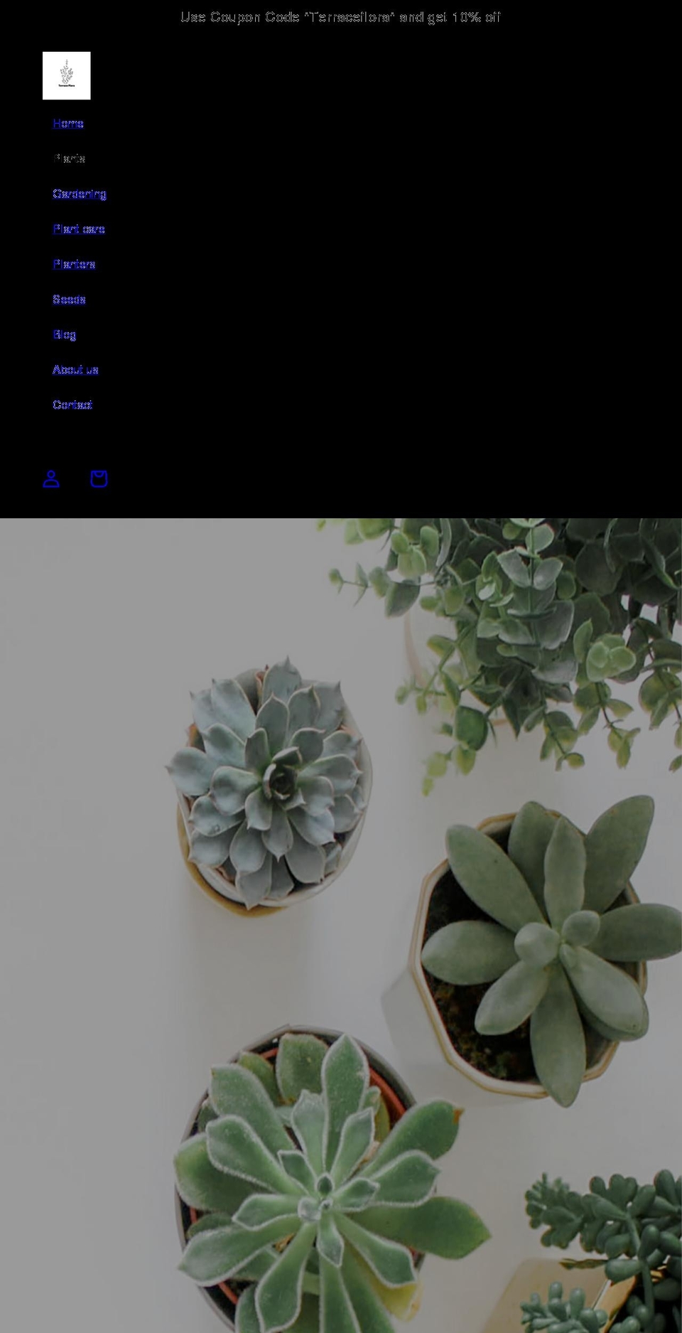 terraceflora.com shopify website screenshot