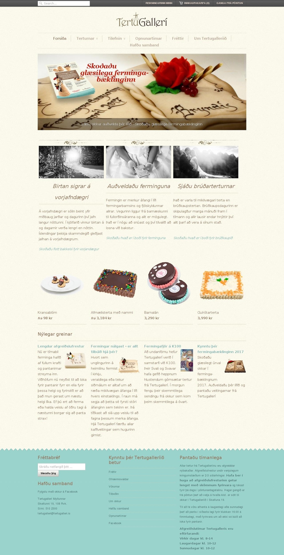 tertugalleri.is shopify website screenshot