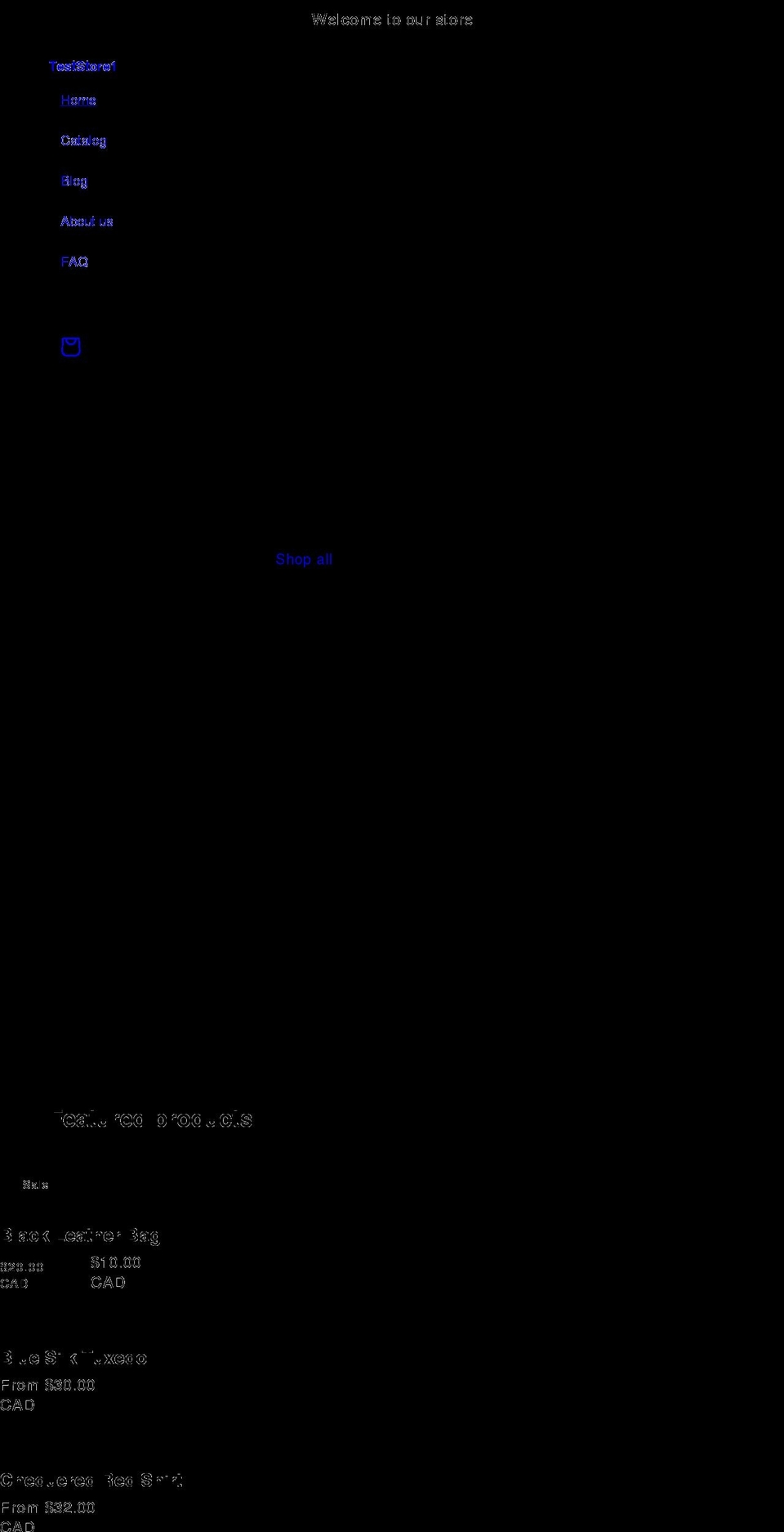 teststore1-356.myshopify.com shopify website screenshot