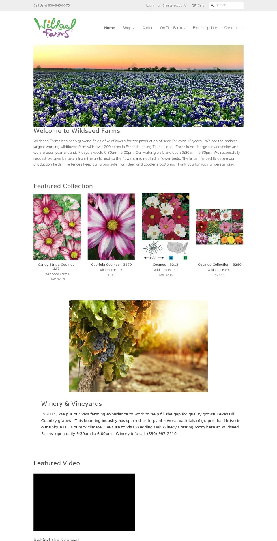 texasbluebonnetseed.com — Shopify storefront screenshot